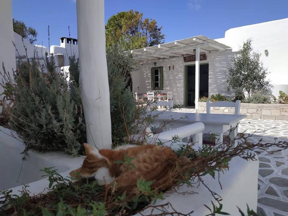 Thalassitra Private Pool Suites Adámasz Kültér fotó